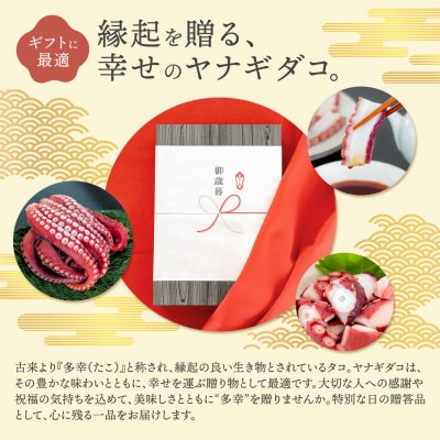 (無地熨斗付き)ヤナギダコ500g【産地直送】プリプリ食感!釧路町昆布森産 噛むたびに広がる多幸の旨