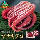 【毎月定期便】ヤナギダコ500g【産地直送】プリプリ食感 北海道 釧路町 昆布森産 多幸の旨味全3回
