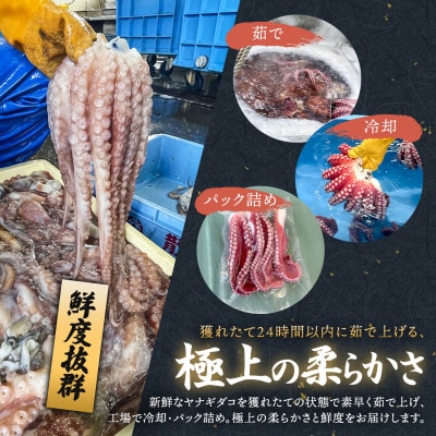 【毎月定期便】ヤナギダコ500g【産地直送】プリプリ食感 北海道 釧路町 昆布森産 多幸の旨味全3回