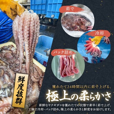 【毎月定期便】ヤナギダコ500g【産地直送】プリプリ食感 北海道 釧路町 昆布森産全6回