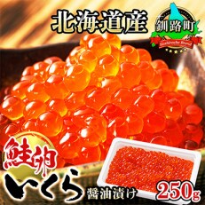 【年内お届け】いくら醤油漬け 250g ×1個 <北海道産の鮭卵>  | ふるさと納税のお礼品