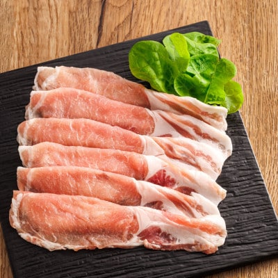 豚肉の小分けが嬉しい! 北海道産 豚ロース 切り落とし 100g×5パック(計500g)