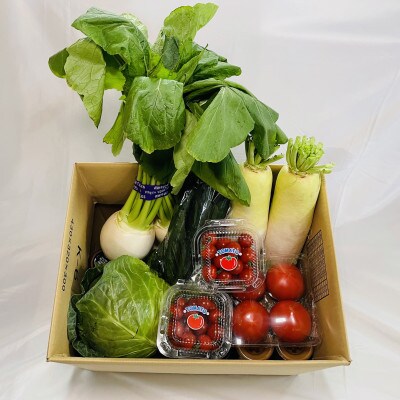 旬の新鮮な野菜セット6種 北海道釧路町の野菜【2022年7月～8月発送】