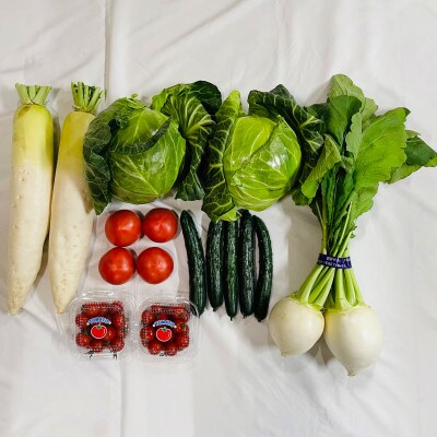 旬の新鮮な野菜セット6種 北海道釧路町の野菜【2022年7月～8月発送】