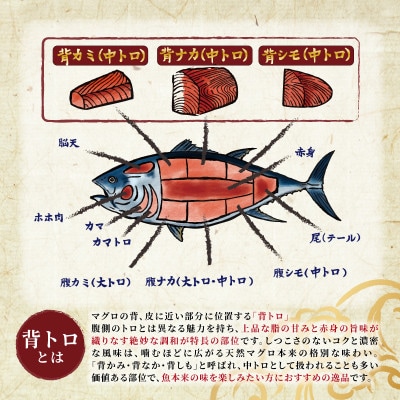 北海道産 天然 本マグロ 背トロ 冷凍 200g × 4柵 (訳あり 筋あり) 国産の本鮪を食卓へ