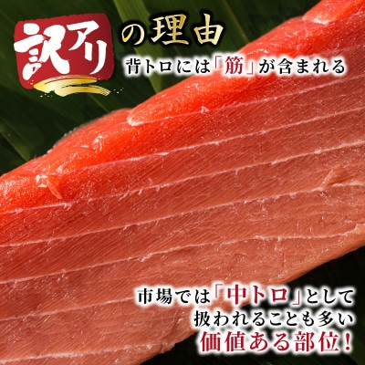 北海道産 天然 本マグロ 背トロ 冷凍 200g × 4柵 (訳あり 筋あり) 国産の本鮪を食卓へ