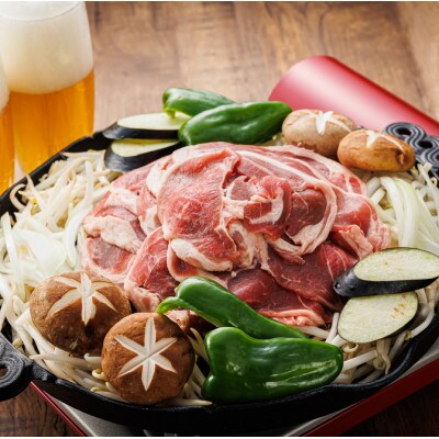 【毎月定期便】ラム肉 スライス 100g×10パック(合計1kg) 味付き　全6回