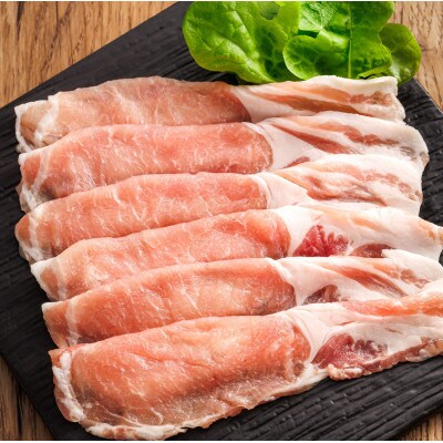 【毎月定期便】北海道産 豚ロース 切り落とし 100g×10パック(合計1kg)全3回