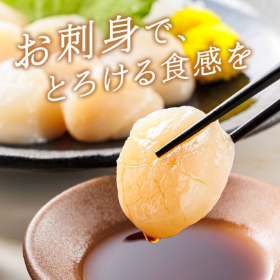 【毎月定期便】北海道産の帆立貝柱を刺身用に小分けに「ホタテ貝柱」約250g×2コ全12回