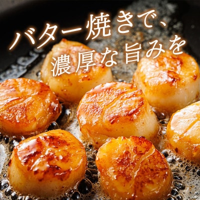 【毎月定期便】北海道産の帆立貝柱を刺身用に小分けに!「ホタテ貝柱」約250g×2コ全12回