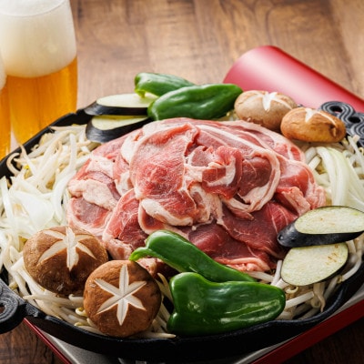 【毎月定期便】連続6回 ラム肉 スライス 100g×5パック(合計500g) 味付き 羊肉全6回