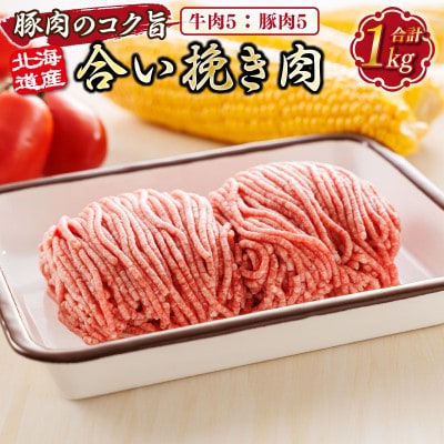 【毎月定期便】北海道産 合い挽き肉 合計1kg(牛5:豚5)豚肉のコク旨ひき肉全9回