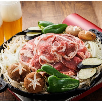 【毎月定期便】ラム肉 スライス 100g×5パック(合計500g) 味付き 羊肉全6回