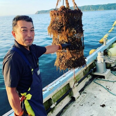 【2025年発送】仙鳳趾 牡蠣 100g～149g×25個+カキナイフ付　K1-1