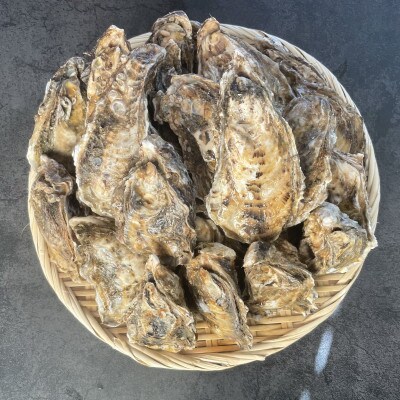 【2025年発送】仙鳳趾 牡蠣 100g～149g×25個+カキナイフ&昆布　K1-2