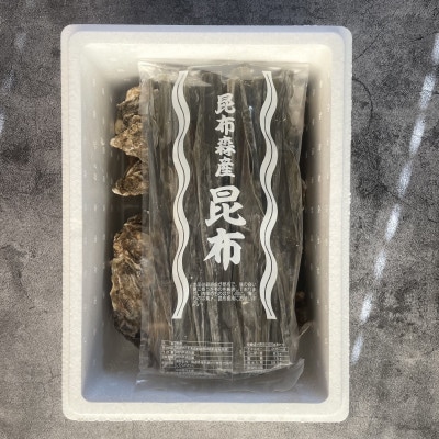【2025年発送】仙鳳趾 牡蠣 100g～149g×25個+カキナイフ&昆布　K1-2