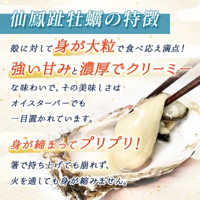 【先行受付】仙鳳趾名産 牡蠣 100g～149g×30コ+かきナイフ付き かき漁師直送 K1-4