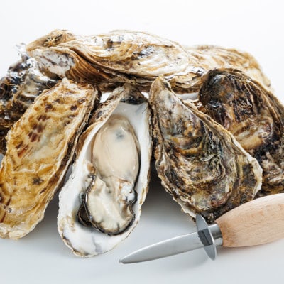 【先行受付】仙鳳趾名産 牡蠣 150g～199g×25コ+かきナイフ付き かき漁師直送 K1-7