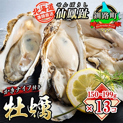 仙鳳趾名産 牡蠣 150～199g×13個+かきナイフ付K4-3
