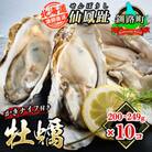 仙鳳趾名産 牡蠣 200～249g×10個+かきナイフ付K4-5