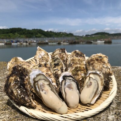 先行受付 北海道仙鳳趾 牡蠣 100g~149g×70個<2023年7月より出荷>漁師直送 K6-3