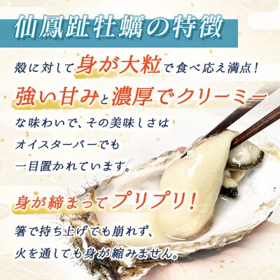 【先行受付】仙鳳趾名産 牡蠣 100g～149g×30個<2023年9月～出荷>かき漁師直送K7-2