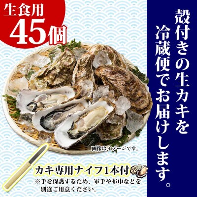 殻付き牡蠣 仙極かき 45個 生食用(かきナイフ付) 冷蔵 北海道釧路町