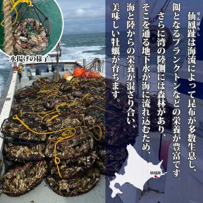 殻付き牡蠣 仙極かき SSサイズ 4kg 生食用(かきナイフ付) 冷蔵 北海道釧路町