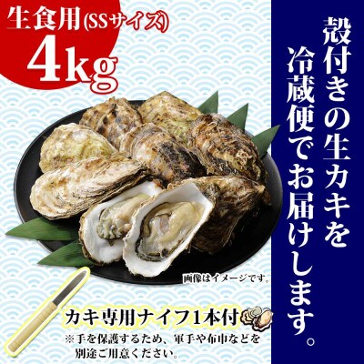 殻付き牡蠣 仙極かき SSサイズ 4kg 生食用(かきナイフ付) 冷蔵 北海道釧路町