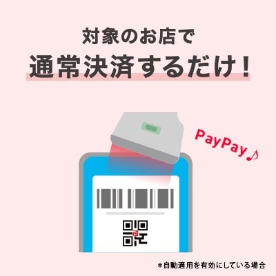 東京都千代田区　PayPay商品券(30,000円分)※地域内の一部の加盟店のみで利用可