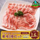 豚肉 ロース バラ 切り落とし(訳アリ 部位混合 ウデ モモ) 3種類のセット 合計1.6kg