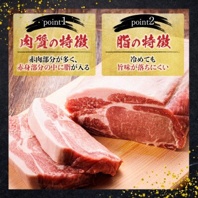豚肉 ロース バラ 切り落とし(訳アリ 部位混合 ウデ モモ) 3種類のセット 合計1.6kg