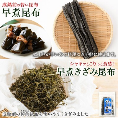 北連物産の早煮昆布 250g×2袋 早煮きざみ昆布 50g×3袋 計650g  北海道 釧路町