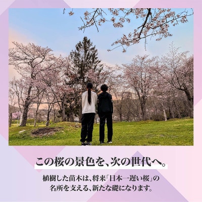 【返礼品なし】桜を雪害から復活させたい「日本一遅い桜まつり」応援寄附(1口1,000,000円)
