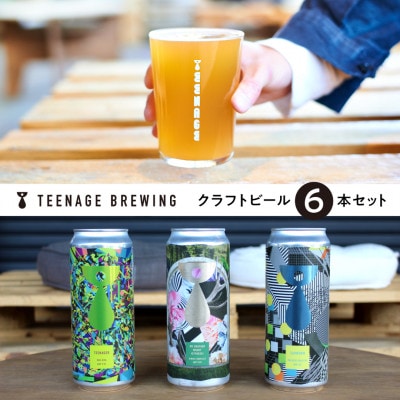 クラフトビールおまかせ6本セット