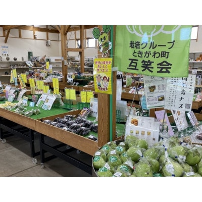 里山おすすめセット