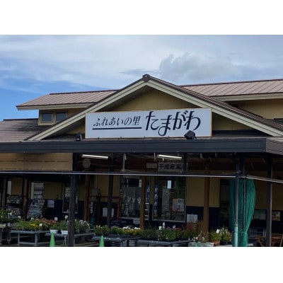 里山おすすめセット