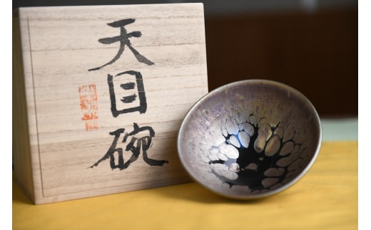 曜変天目茶碗(請関天目)E010