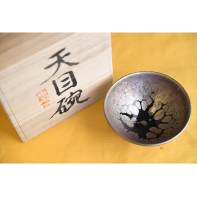曜変天目茶碗(請関天目)E010