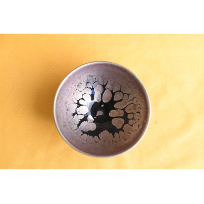 曜変天目茶碗(請関天目)E010