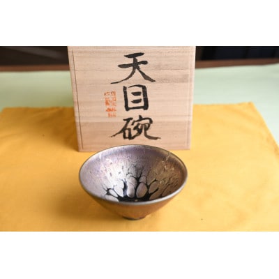 曜変天目茶碗(請関天目)E010