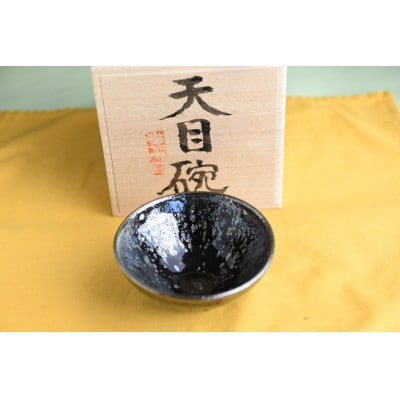 曜変天目茶碗(請関天目)E009