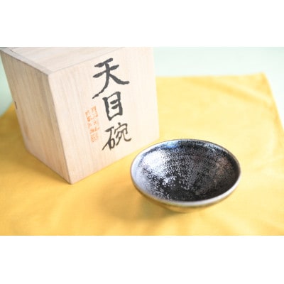 曜変天目茶碗(請関天目)E006