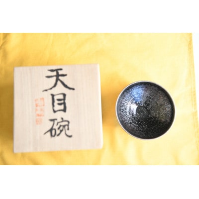 曜変天目茶碗(請関天目)E006