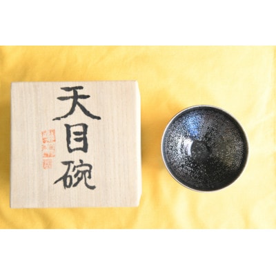 曜変天目茶碗(請関天目)E006