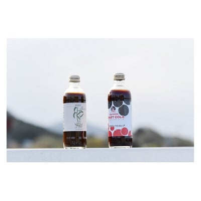 伝説のジンジャエールシロップ+埼玉クラフトコーラシロップのセット