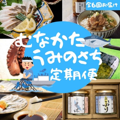 【年6回/偶数月お届け】海のまちから「絶品」海産物をお届け!むなかたうみのさち定期便_HB0200
