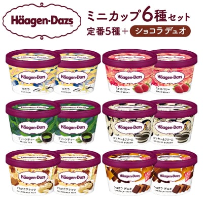 ハーゲンダッツ『ミニカップ12個セット(定番フレーバー&ショコラデュオ味)』_H0016-197