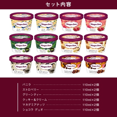 ハーゲンダッツ『ミニカップ12個セット(定番フレーバー&ショコラデュオ味)』_H0016-197