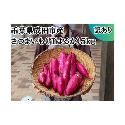 成田市産　さつまいも(紅はるか) [54020538]